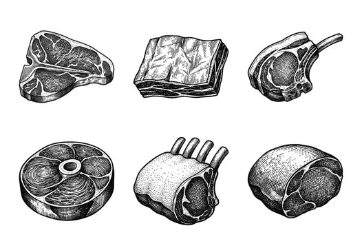 Vintage hand drawn engraving style collection of assorted raw meat cuts including steak, ribs, and lamb chops for butcher shop branding.