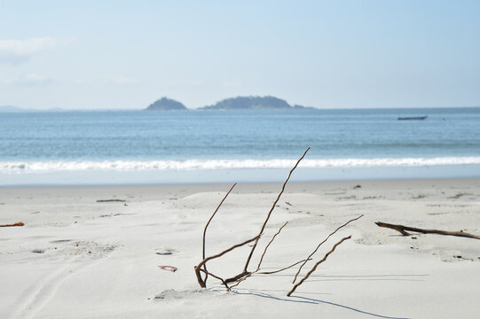 Ilha do mel
