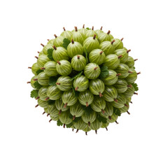 Floating Gooseberry spherical cluster, isolated on a transparent background