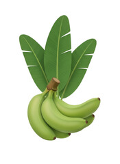 Floating Plantain Bunch and Leaves, isolated on a transparent background