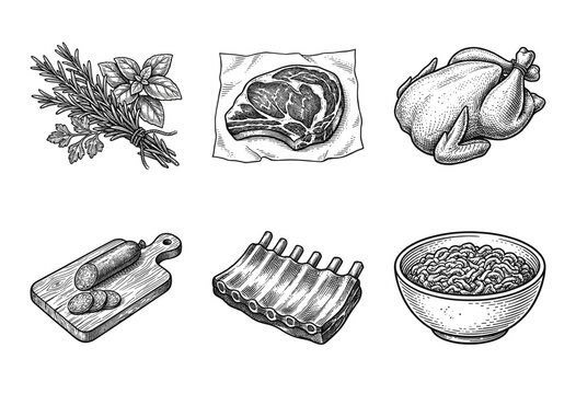 Vintage hand drawn butcher shop collection featuring raw meat cuts, poultry, sausages, and fresh herbs in a detailed woodcut engraving style.