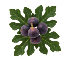 Floating Fig Cluster, isolated on a transparent background