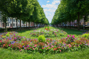 Bordeauxplatz in the French Quarter, Haidhausen district in Munich with summer flowers