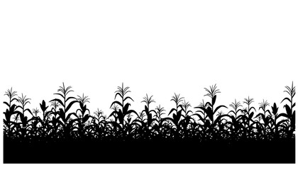 A black corn field. Maize field silhouette design vector illustration