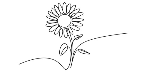 Continuous line art drawing of a single sunflower with stem and leaves on a white background Vector, illustration © Rimi Kailash Arts