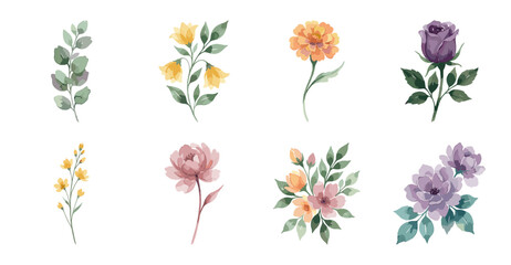 Watercolor Flower Collection, Hand Painted Floral Elements Set