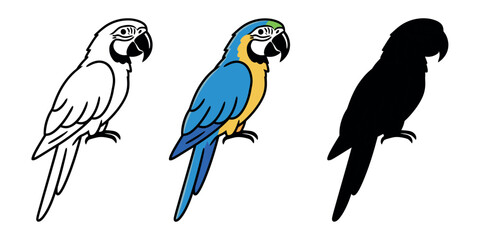 Vibrant blue and yellow macaw parrot in profile, shown in outline, color, and silhouette styles. Majestic tropical bird vector illustration. © Lili