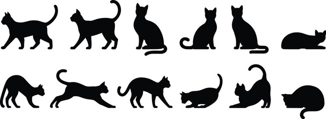 Black cat silhouettes collection, feline poses, sitting, standing, walking, stretching, jumping, curled, playful, domestic cats, animal design, vector art © Its Butterfly