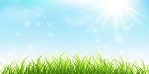 Obraz premium Soft spring grass with sunlight and clear blue sky creating fresh natural view