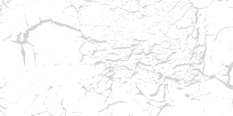 Obraz premium White textured paint wall background