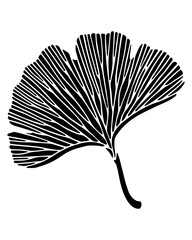 Ginkgo Leaf Silhouette