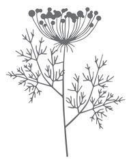 Dill Plant Silhouette