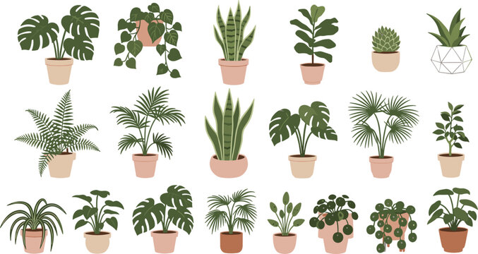 Indoor houseplants illustration set vector isolated on white background