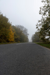 Fototapeta premium a narrow country road with trees on the edge of the road in the autumn season, cloudy weather with a gray nondescript sky, thick fog in the morning due to climate change