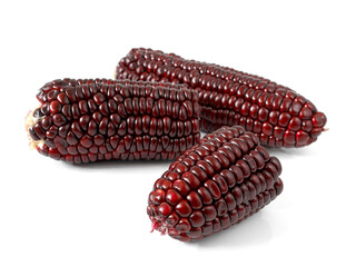 Purple corn or purple maize