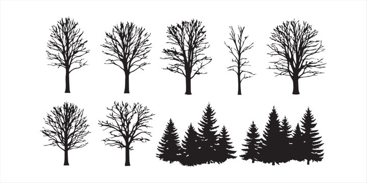 Winter tree silhouette set, bare deciduous and pine trees vector collection, leafless forest clipart, seasonal nature illustration pack