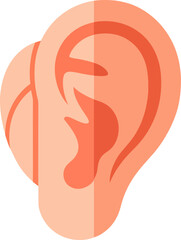 Human ear anatomy illustration with detailed inner structures