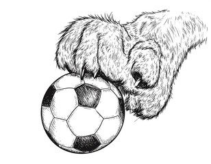Detailed monochrome sketch of a furry animal paw resting upon a soccer ball with its sharp claws