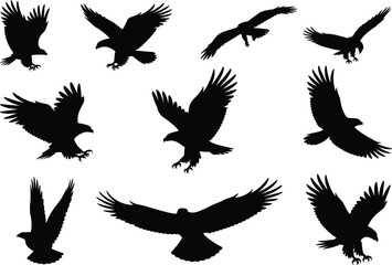 Fototapeta premium Flying eagle silhouettes collection, black bird of prey shapes, isolated raptor poses, wildlife design elements, freedom, power, nature