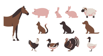 Fototapeta premium Collection of various farm and domestic animals on white background