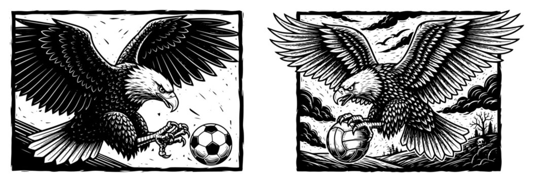 Detailed woodcut style illustration of a bald eagle catching a sports ball in two different compositions