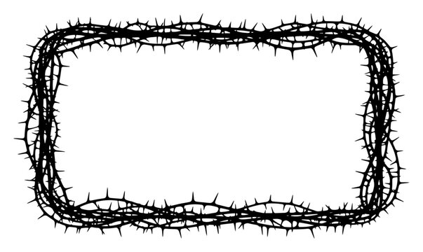 Rectangular frame border made from tangled crown of thorns branches in black ink style