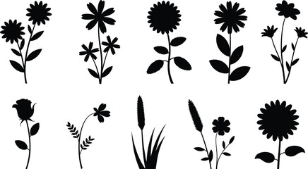 Fototapeta premium Black floral silhouette collection, minimal wildflower icons set, botanical elements, nature design bundle, decorative plant shapes isolated white background