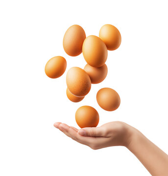 Hand catching falling brown chicken eggs on transparent background
