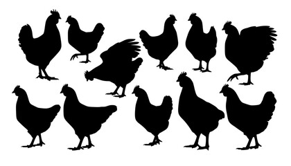 chicken silhouettes
