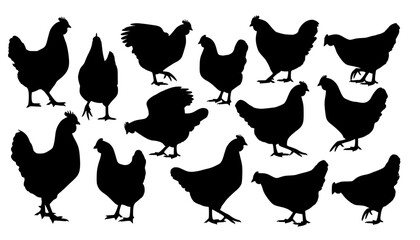 chicken silhouettes
