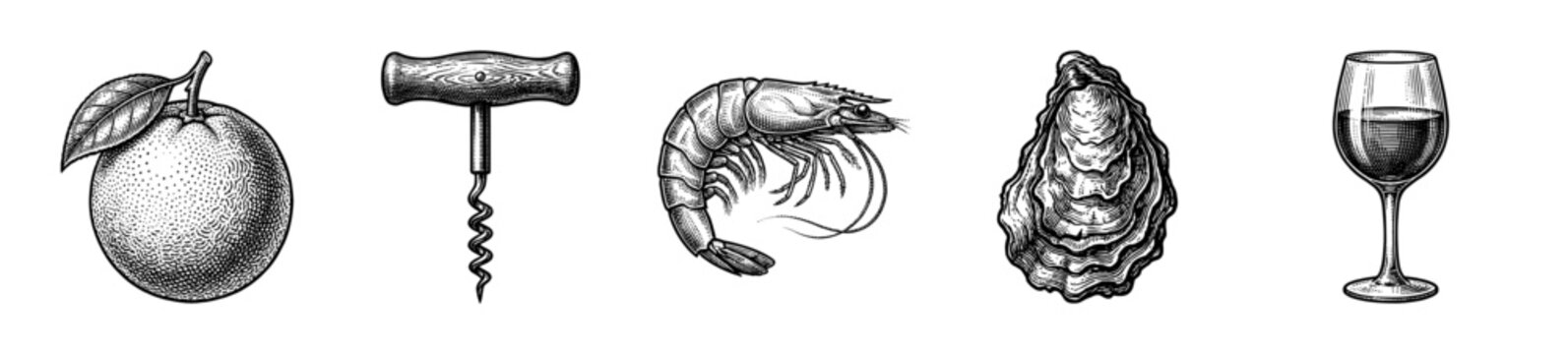 Vintage hand drawn engraving collection featuring orange fruit corkscrew shrimp oyster and red wine glass illustrations.