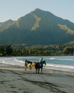 Kauai Horses
