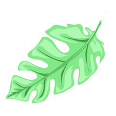 illustration of fresh green leaves without background