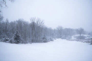 Obraz premium Central Minnesota landscape covered in fresh snow on a moody day 