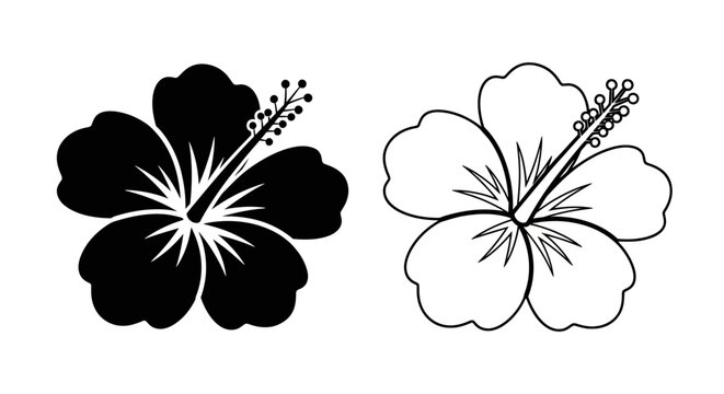 Black and white hibiscus flower design vector illustration Vector