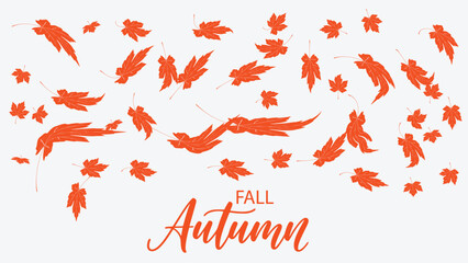 Orange Falling Autumn Maple Leaves on White Background