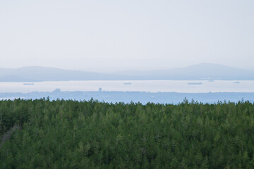 a lush green pine forest in the foreground, overlooking a calm blue body of water dotted with distant cargo ships, with hazy mountains silhouetted against the sky in the background.