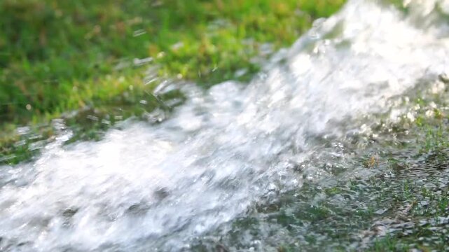 Water flowing over grass in a natural landscape during daylight in native habitat range slow-motion