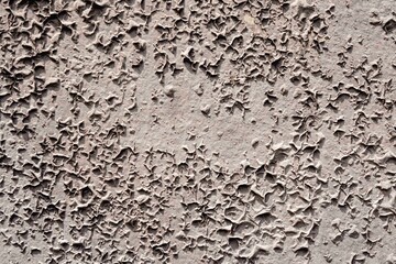 Obraz premium concrete wall texture