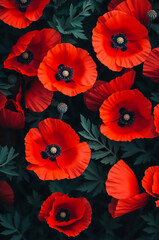 Obraz premium Vertical background of a red poppy flower field. Floral pattern of wild poppies in a summer meadow. Nature wallpaper