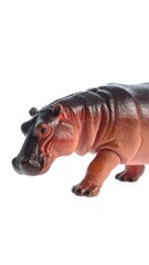 Obraz premium Brown hippo figurine, side view, against white. Shiny appearance, dark eyes, and small ears are visible