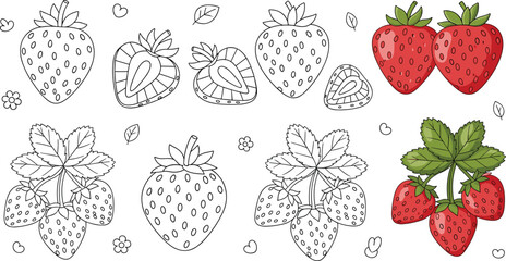 Set of cute strawberry vector illustrations featuring ripe red berries green leaves and woven baskets with black and white line art versions perfect for stickers scrapbooking children's coloring book