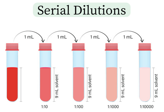 Serial Dilution Diagram Showing Stepwise Laboratory Dilution Process in Test Tubes Vector Illustration
