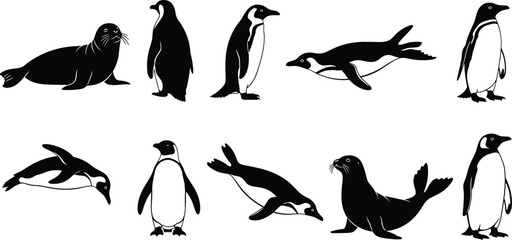 Black and white vector silhouette set of diverse arctic animals featuring various penguins standing or swimming and seals for polar nature and wildlife branding © MstHanufa
