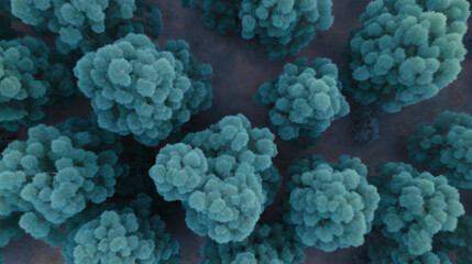 Aerial view of a dense forest canopy with teal-colored trees in twilight