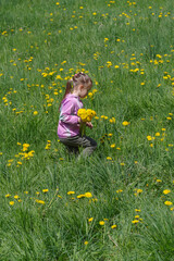 Girl picking flowers