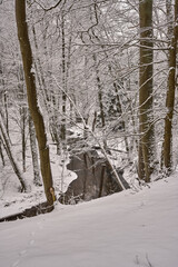 Rzeka Bukówka, bukowe lasy Puszczy Noteckiej, zima, Wielkopolska, Polska © Zbigniew