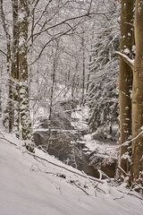 Puszcza Notecka, rzeka Bukówka płynąca polami i lasami, śnieg, zima, Wielkopolska, Polska © Zbigniew