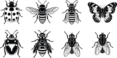 Black vector silhouette set of various insects including a ladybug honey bee wasp butterfly beetle and fly for nature education and pest control branding © Abida