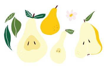 Flat vector illustration of pears with leaves and blossoms in soft minimal style. Fresh fruit composition suitable for food packaging, kitchen decor, branding and seasonal harvest designs.
